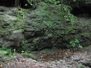 Maunawili Demonstration Trail Waimanalo side